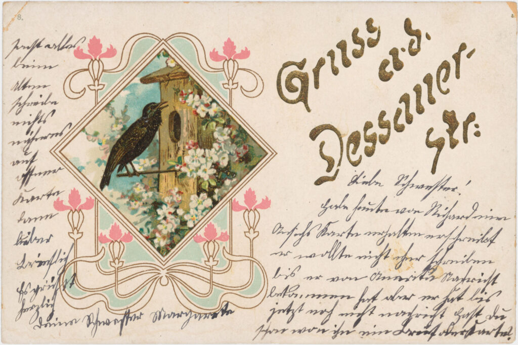 “Greetings from Dessauer Str.”colored, no date (sent in 1903), SPP / FHXB 5364